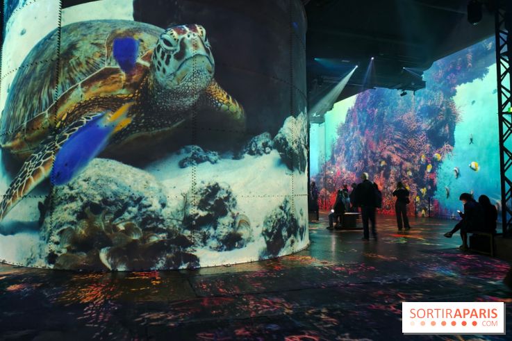 Plongez à la découverte de Planète Océan, l’exposition immersive de l’Atelier des Lumières