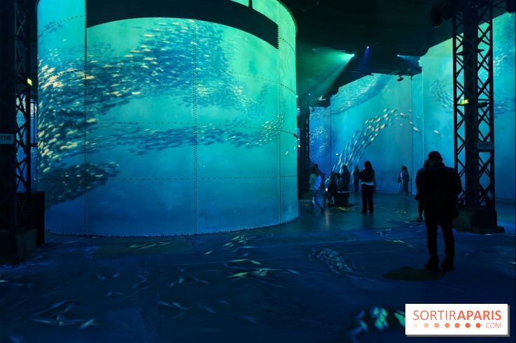 Plongez à la découverte de Planète Océan, l’exposition immersive de l’Atelier des Lumières
