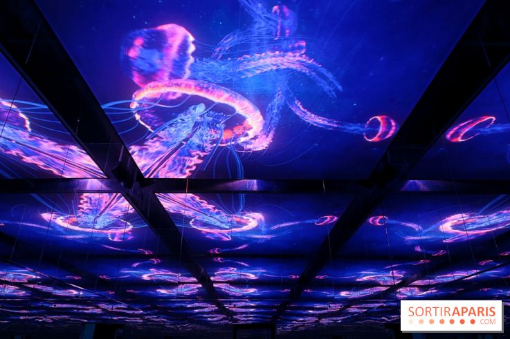 Plongez à la découverte de Planète Océan, l’exposition immersive de l’Atelier des Lumières