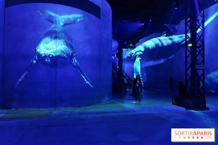 Plongez à la découverte de Planète Océan, l’exposition immersive de l’Atelier des Lumières