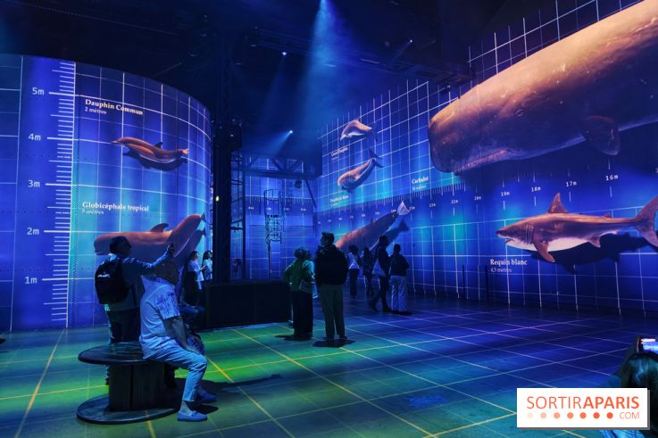 Plongez à la découverte de Planète Océan, l’exposition immersive de l’Atelier des Lumières