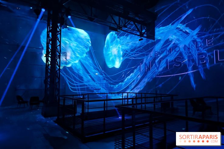Plongez à la découverte de Planète Océan, l’exposition immersive de l’Atelier des Lumières