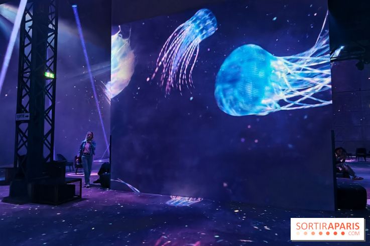 Plongez à la découverte de Planète Océan, l’exposition immersive de l’Atelier des Lumières
