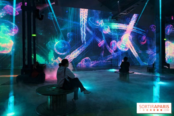 Plongez à la découverte de Planète Océan, l’exposition immersive de l’Atelier des Lumières