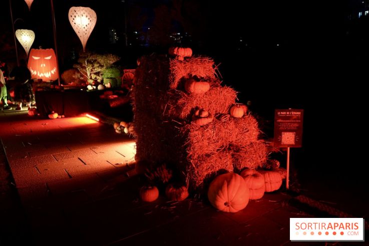 Parc de l'Étrange 2026 : Pyramide de foin et citrouilles dans un décor d’Halloween nocturne