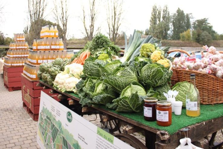 la fête du goût à la ferme de Gally