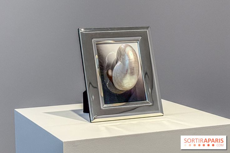 Hélène Fauquet : Vivresse, l’exposition entre bulles et coquillages à Lafayette Anticipations.