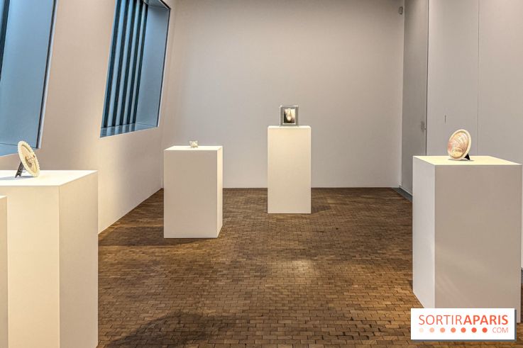 Hélène Fauquet : Vivresse, l’exposition entre bulles et coquillages à Lafayette Anticipations.