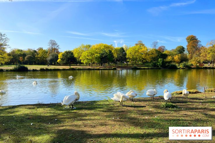 Les îles du Lac Daumesnil, une escapade dans le 12e arrondissement de Paris