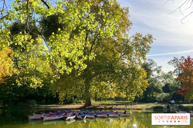 Les îles du Lac Daumesnil, une escapade dans le 12e arrondissement de Paris