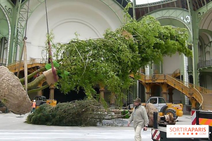 L'art du Jardin au Grand Palais