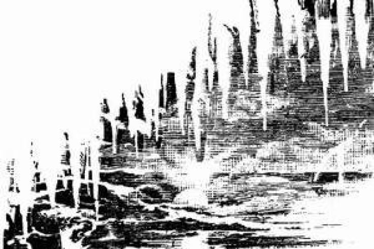 The waiting Room Release Party 