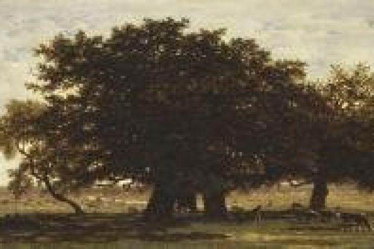 La foret de Fontainebleau