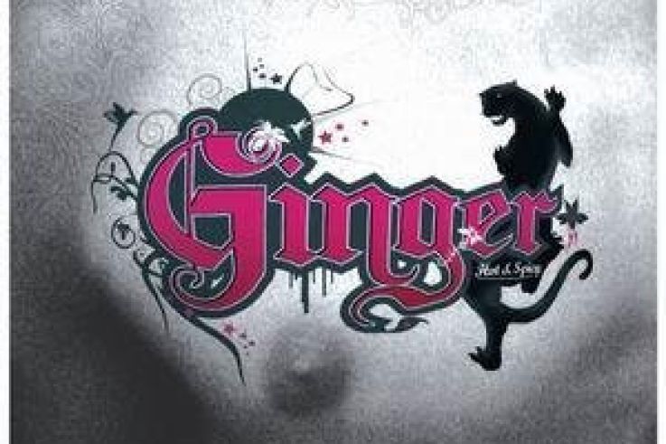 GINGER – Hot & spicy !