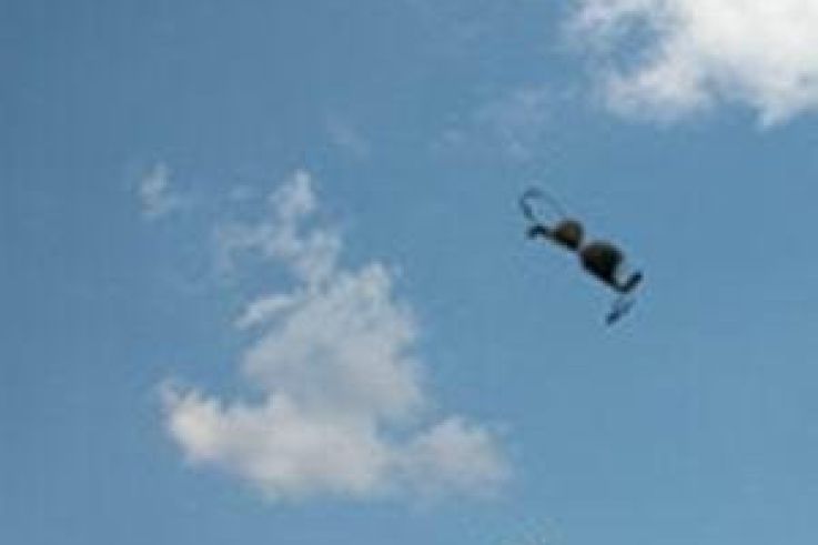 ROSEBUD/ ENJOY/ KONSTANTINE