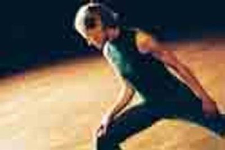 Le Festival Faits d Hiver - danses d auteurs