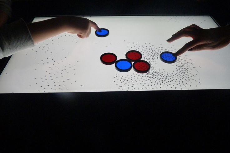 Difluxe, Parizone@Dream 2013