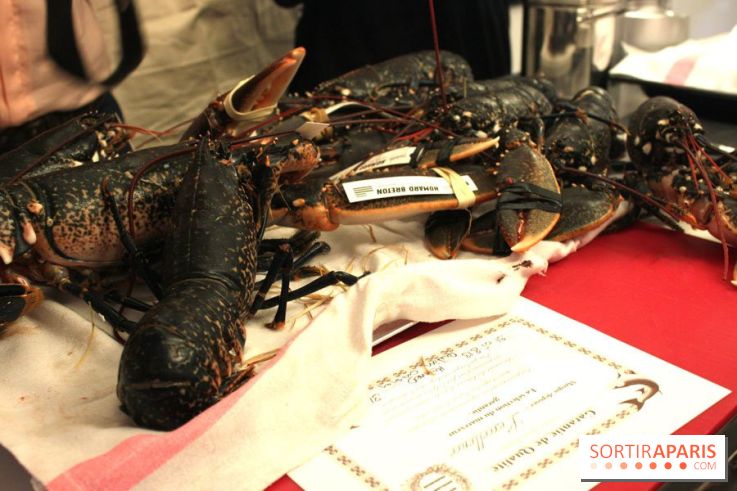 Cours de cuisine spécial Homard à l'Ecole Ducasse