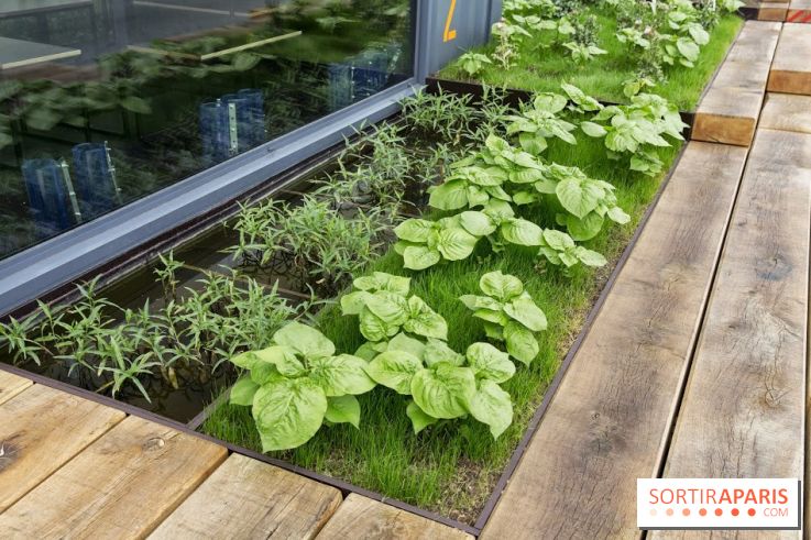 Les nouvelles Berges de Paris