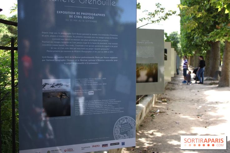 Exposition Planète Grenouille par Cyril Ruoso au Jardin des Plantes