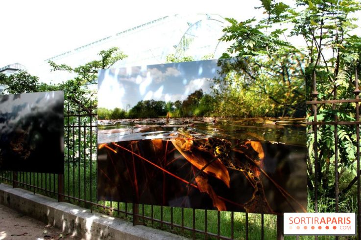 Exposition Planète Grenouille par Cyril Ruoso au Jardin des Plantes