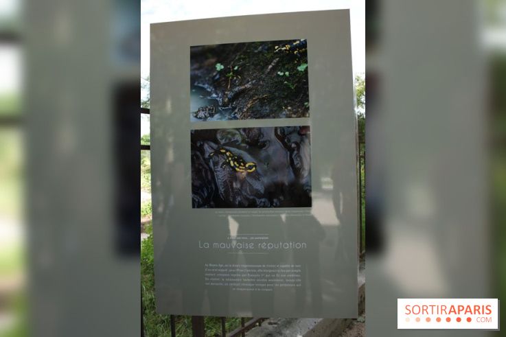 Exposition Planète Grenouille par Cyril Ruoso au Jardin des Plantes