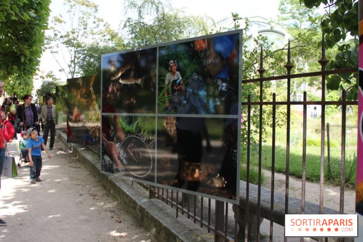 Exposition Planète Grenouille par Cyril Ruoso au Jardin des Plantes