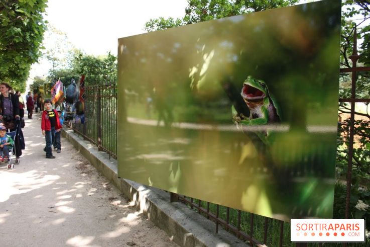 Exposition Planète Grenouille par Cyril Ruoso au Jardin des Plantes