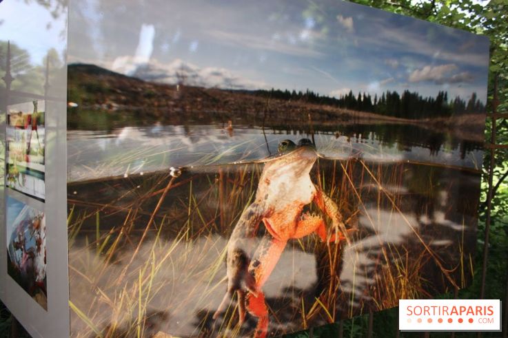 Exposition Planète Grenouille par Cyril Ruoso au Jardin des Plantes