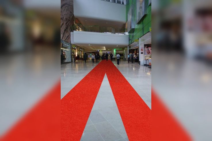 Tapis Rouge, Défense, CNIT, Festival de Cannes