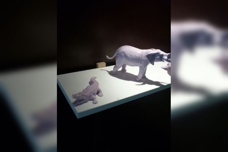 les pékelets, salon de thé familial à paris