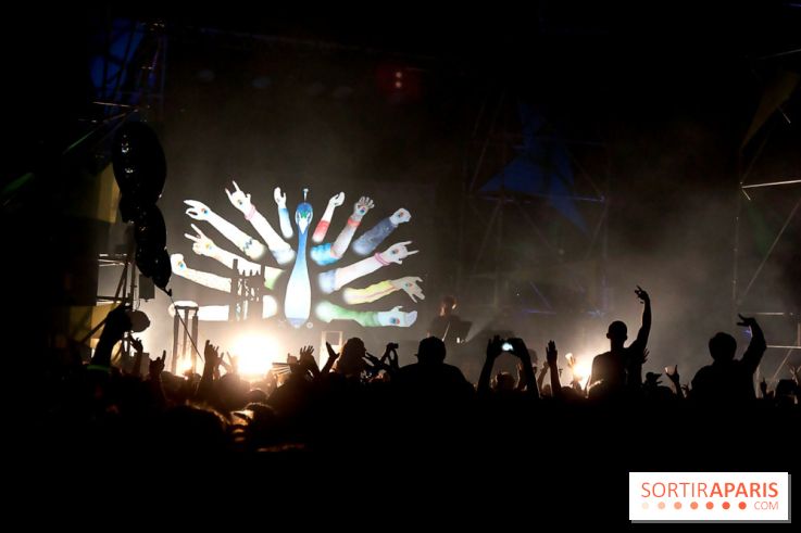 The Peacock Society 2013