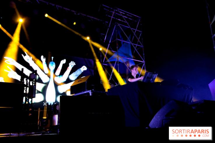 The Peacock Society 2013