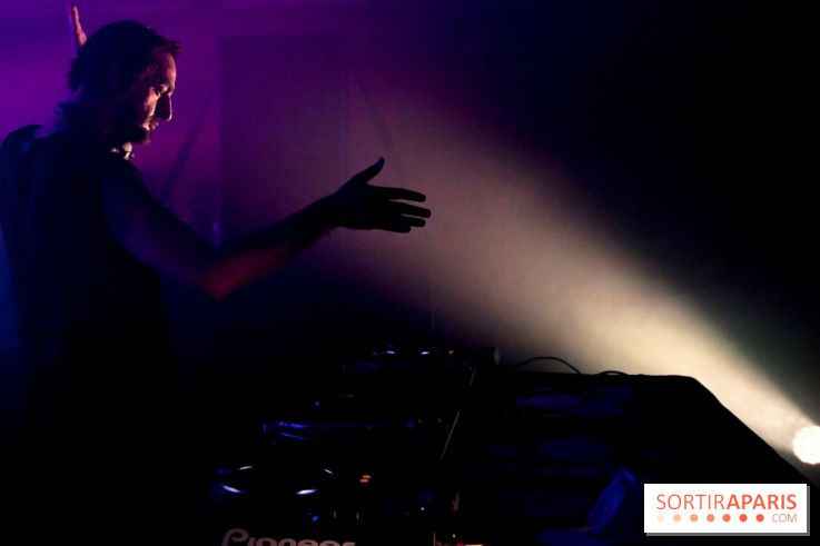 The Peacock Society 2013