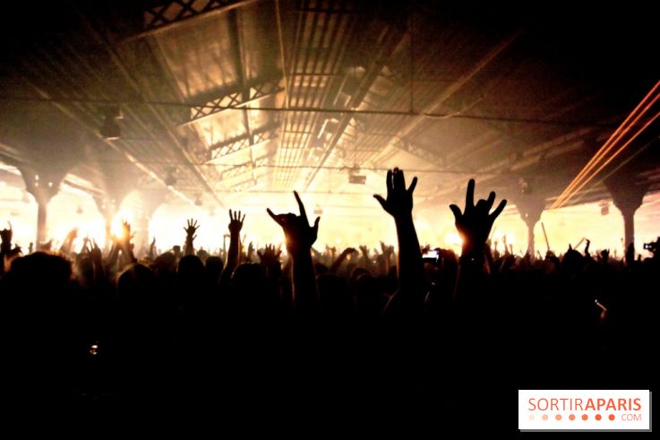 The Peacock Society 2013