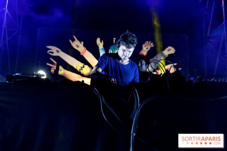 The Peacock Society 2013