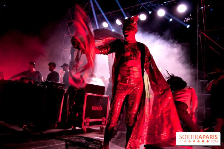 The Peacock Society 2013