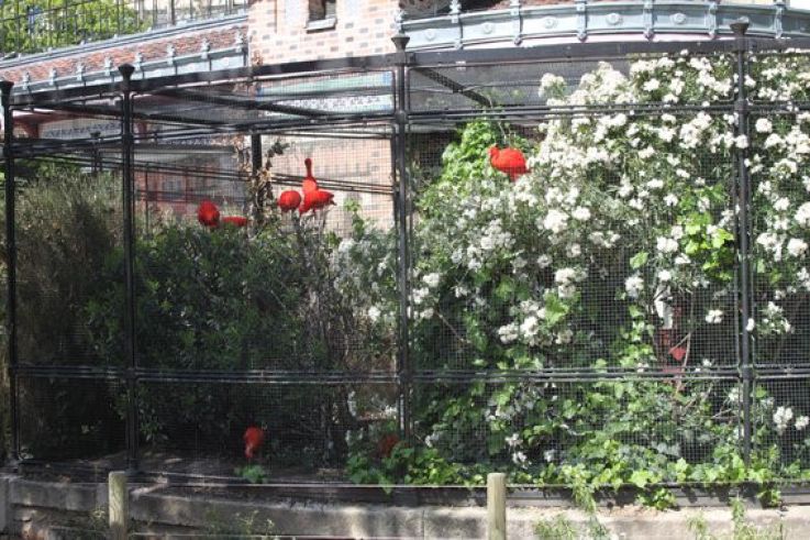 la ménagerie du jardin des plantes