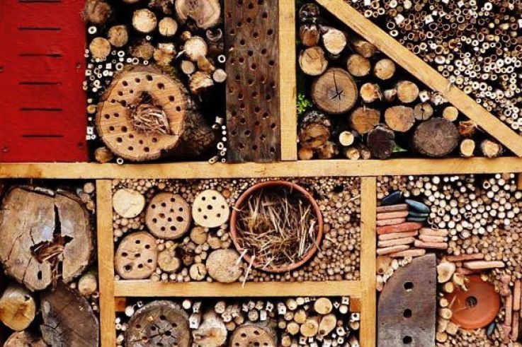 Atelier de fabrication, Refuge, Insecte