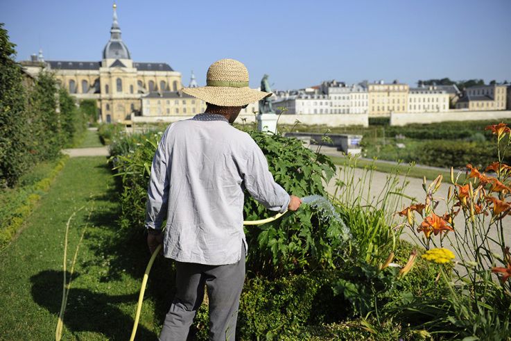 Dîners gastronomiques au Potager du Roi à Versailles