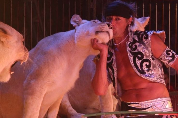 Cirque Pinder 160 ans