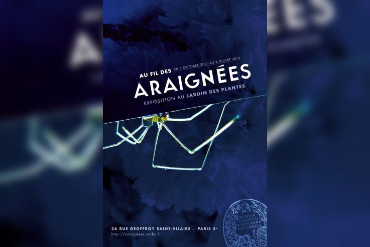 Araignées, Jardin des Plantes, Muséum national d'Histoire Naturelle, 