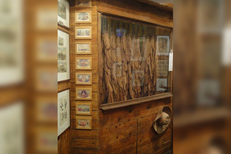 Musée du Fumeur, Visite insolite, Feuilles de tabac