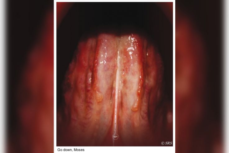 Portrait Roméo Castellucci : Go down, Moses, au Théâtre de la Ville