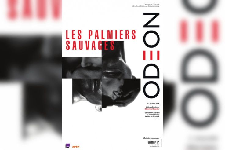 les palmiers sauvages