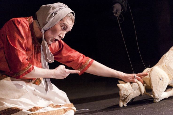 la petite renarde rusée