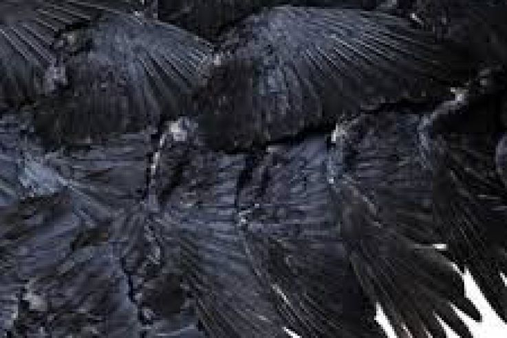 Passé simple, futurs composés au 104