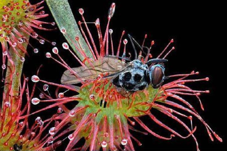 HYPER NATURE -  Philippe Martin