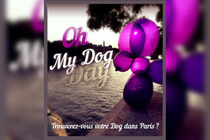 dog day, le lacher de balloon by expo in the city