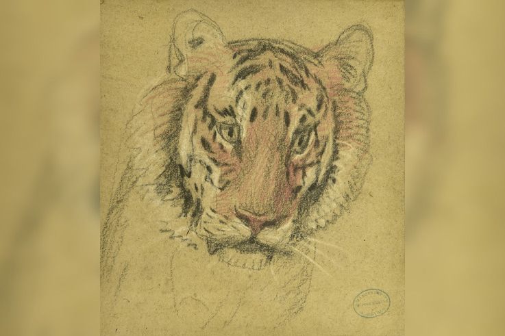 Desportes au Domaine de Sceaux 